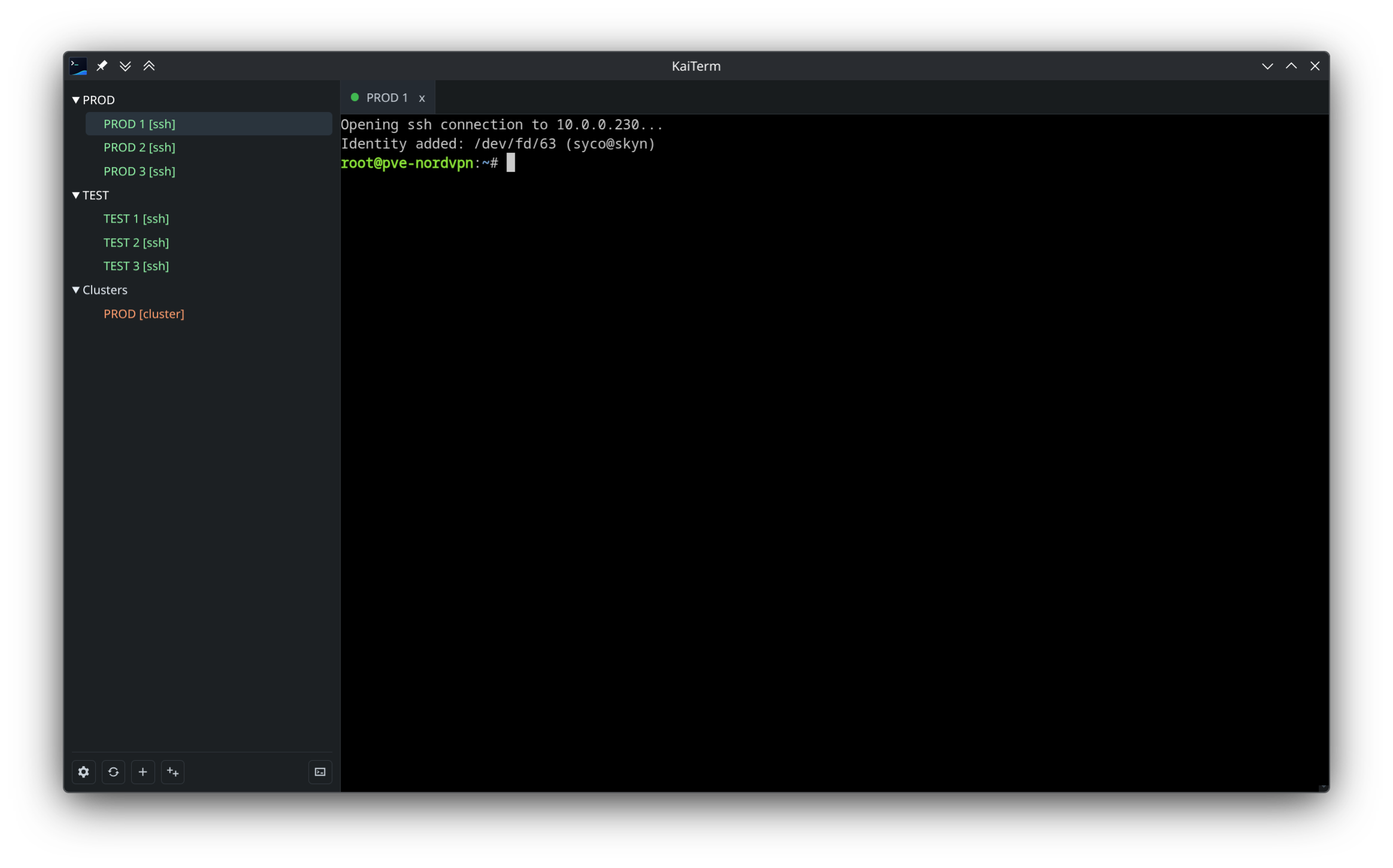 KaiTerm single terminal session.