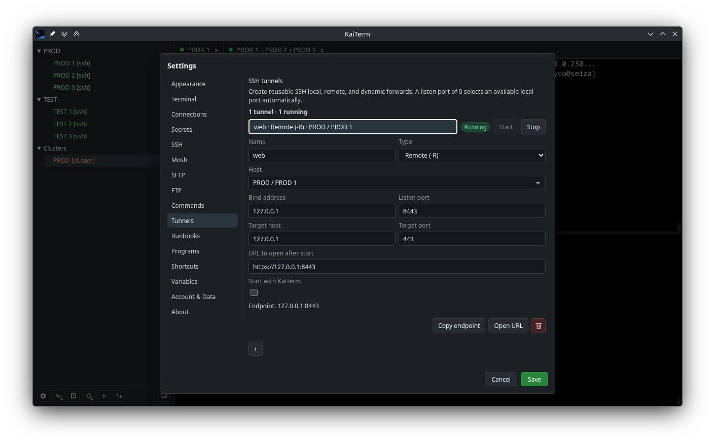 KaiTerm SSH tunnel settings.